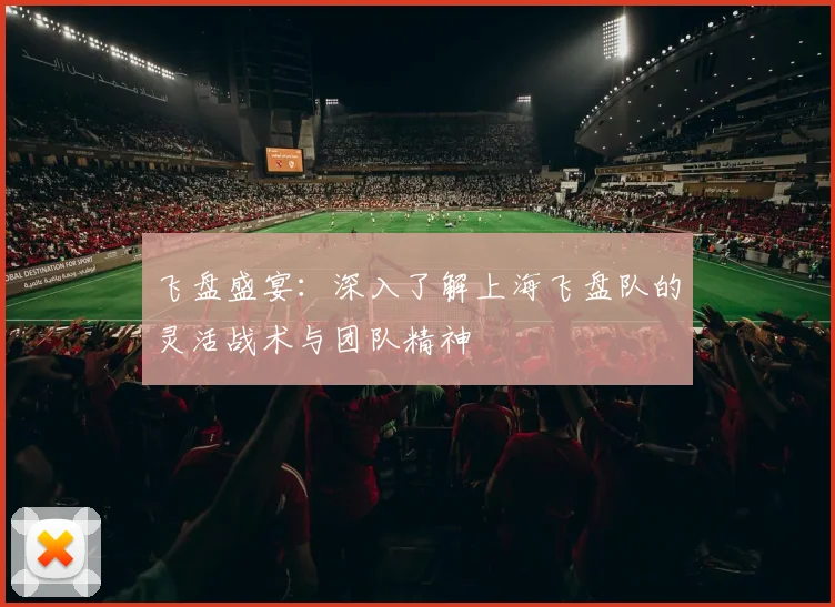 飞盘盛宴：深入了解上海飞盘队的灵活战术与团队精神