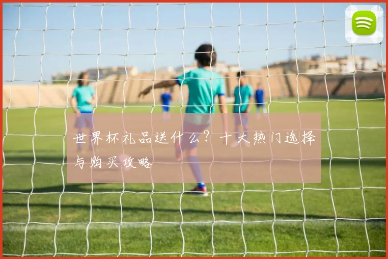 世界杯礼品送什么？十大热门选择与购买攻略