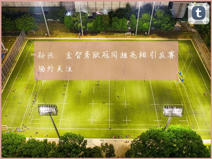 孙兴慜金智秀欧冠同框亮相 引发赛场外关注