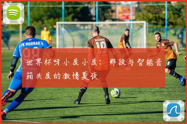 世界杯呀小度小度:那段与智能音箱共度的激情夏夜