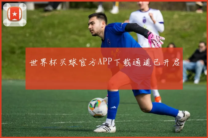 世界杯买球官方APP下载通道已开启