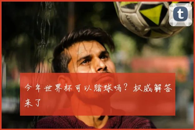 今年世界杯可以赌球吗?权威解答来了