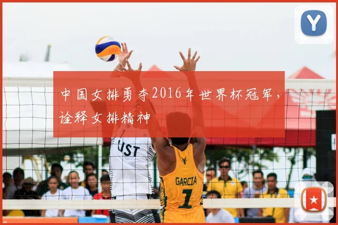 中国女排勇夺2016年世界杯冠军,诠释女排精神
