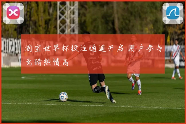 淘宝世界杯投注通道开启 用户参与竞猜热情高