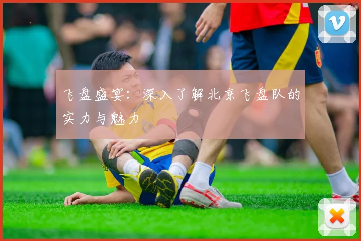 飞盘盛宴：深入了解北京飞盘队的实力与魅力