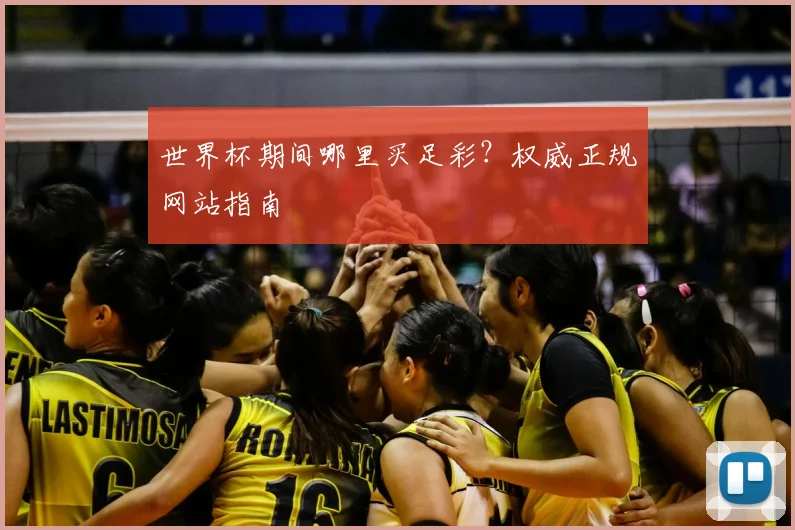 世界杯期间哪里买足彩?权威正规网站指南