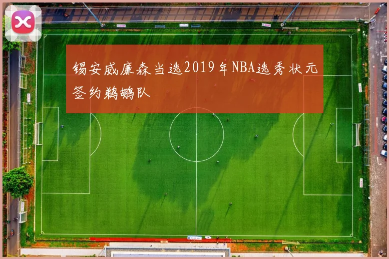 锡安威廉森当选2019年NBA选秀状元签约鹈鹕队