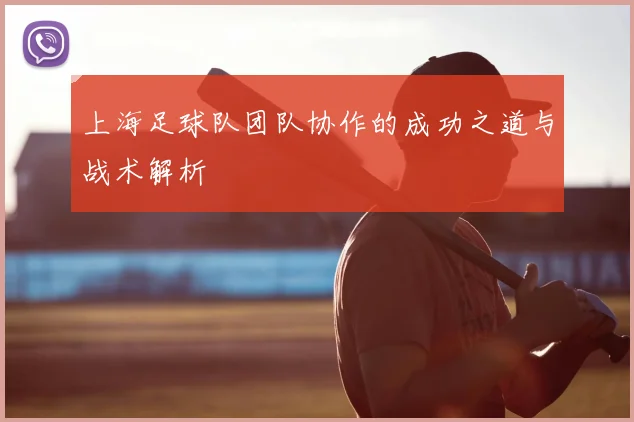 上海足球队团队协作的成功之道与战术解析