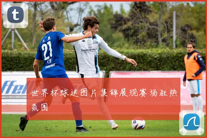 世界杯球迷图片集锦展现赛场狂热氛围