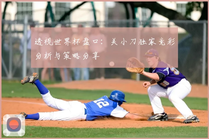 透视世界杯盘口：关小刀独家竞彩分析与策略分享