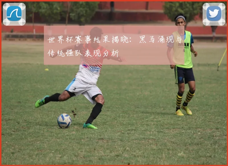 世界杯赛事结果揭晓:黑马涌现与传统强队表现分析