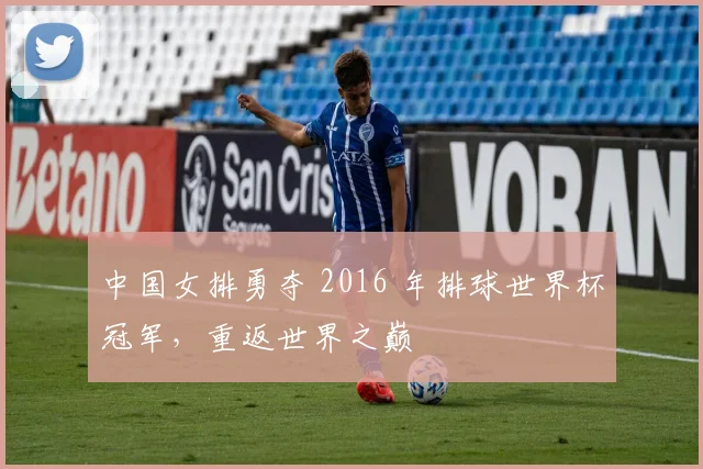中国女排勇夺 2016 年排球世界杯冠军,重返世界之巅