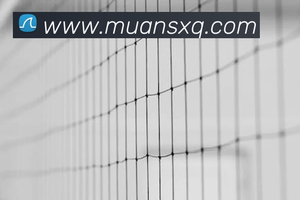 多媒体互动体验